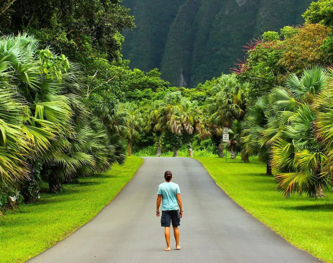 Mejora la Composición